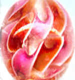 Berry Burst Special Edition LongLocks Hair Accessories