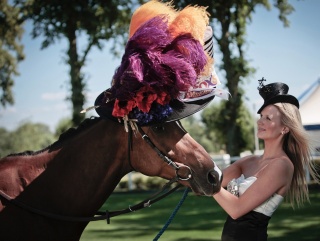 Rex Harrison Needed at Ascot Ascot HorseInHat Rex Harrison Needed at Ascot