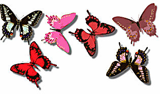 Color Trends for Prom 2008