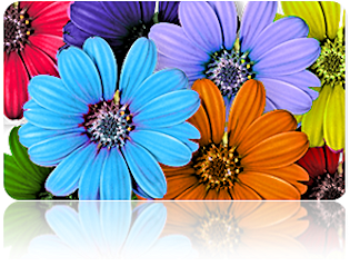 Color Trends for Spring Prom 2012