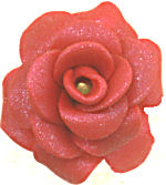 Indian Rose LongLocks Hair Accessories