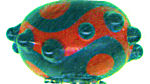 Scarlet Vortex LongLocks Hair Accessories