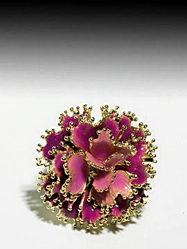 Carissima Bijoux Fuchsia Ring From Susan's Closet