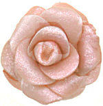 Spring's Blush LongLocks Hair Accessories