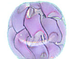 Twisted Violets Special Edition LongLocks Hair Accessories