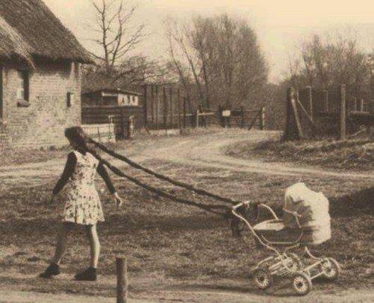 A woman pulls a baby carriage with her braids in this wacky vintage photograph