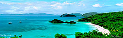 Panoramic Art Print of Trunk Bay by Steve Vaughn