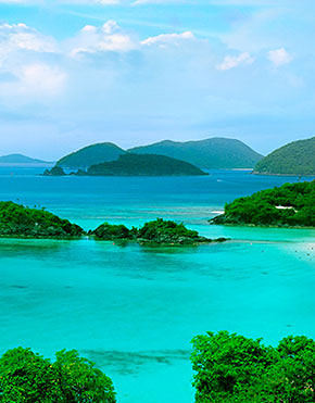 Detail of Trunk Bay Panoramic Mural by Steve Vaughn