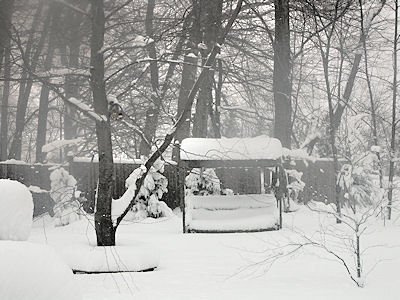 A Swing Covered with Snow