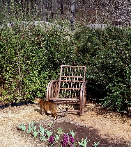 Margardenfoundchair.jpg